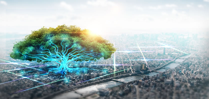 方正科技寬帶服務(wù)